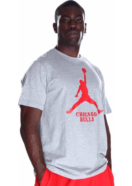 Lal M Es Nba Jdn Ss Tee Erkek Tişört FD1460-063-GRI