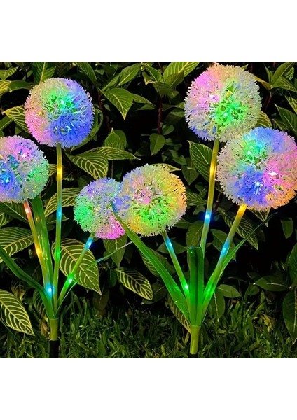 Solar Enerjili Dandelion Karahindiba Bahçe Balkon Teras Aydınlatma