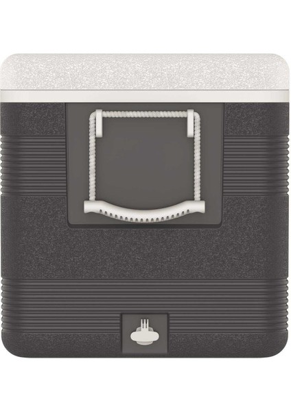 Icepeak Coolcraft 150 Buzluk 141 Litre Antrasit fırsatları