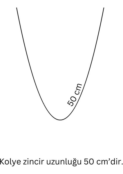 Pınkmark Kadın Gümüş 5 Charm Kaplamalı Bijuteri Kolye 50CM PMKL25626 fırsatları