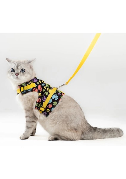 Kaçış Önleyici Kedi Gezdirme Tasması ve Küçük Irk Köpek Gezdirme Tasması