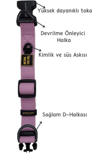 Su Geçirmez Sağlam D-Halkalı Pembe Köpek Boyun Tasması - L