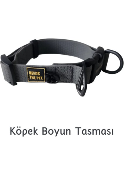 Su Geçirmez Sağlam D-Halkalı Gri Köpek Boyun Tasması - L