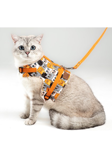 Patipatron Kaçış Önleyici Kedi Gezdirme Tasması ve Küçük Irk Köpek Gezdirme Tasması