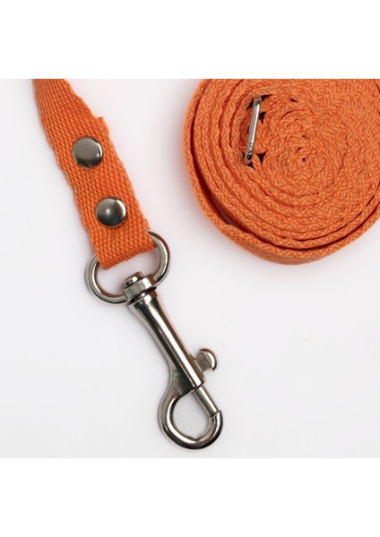 Patipatron Kaçış Önleyici Kedi Gezdirme Tasması ve Küçük Irk Köpek Gezdirme Tasması indirimleri