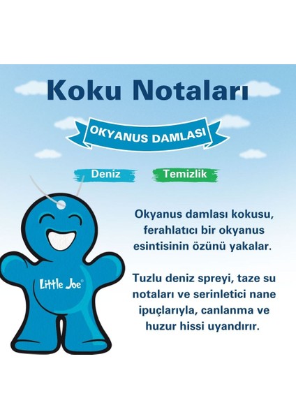Okyanus Araç Asma Koku (Ocean) -30 Gün -Ipli Oto Kokusu -Ayna Parfümü modelleri
