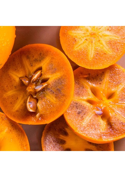 ÇİKOLATALI HARBİYE HURMA FİDANI 5 ADET (KAKAOLU) fiyatları