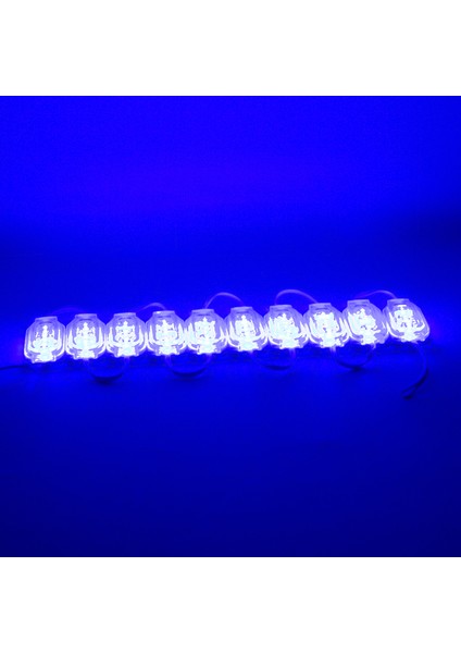 Powermaster 12 Volt 0.6 Watt Mavi 2835 65 x 25 mm IP65 120 Lümen 160 Derece Modül LED