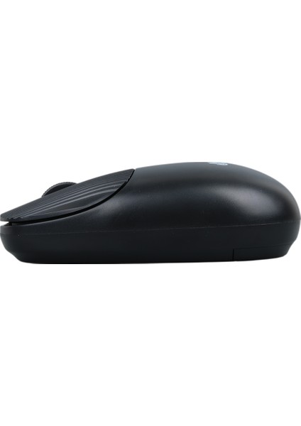 Hello HL-21808 Siyah 1000 Dpı 2.4 Ghz Kablosuz Bluetooth Mouse Ev Ofis Bilgisayarı Mouse Fare