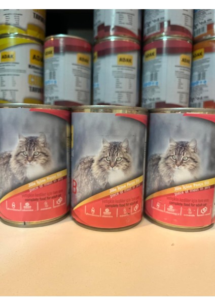 Adult Cat Food Yetişkin Kedi MAMASI415X12