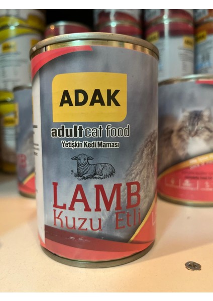 Adult Cat Food Yetişkin Kedi MAMASI415X12