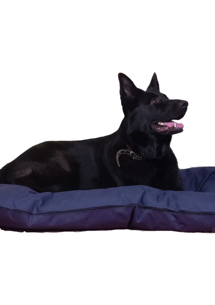 Xxl Hediye Kılıflı Ekstra Büyük Yıkanabilir Köpek Minderi (120X100) Fermuarlı indirimleri