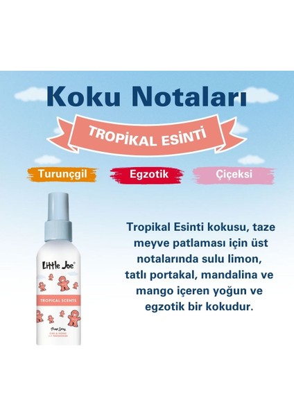 Tropikal Meyve Sprey Oda Kokusu 60 ml (Tropical) -Koku Giderici -Oto Ev Ofis Parfüm modelleri