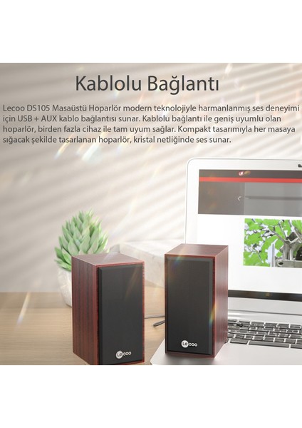DS105 Kablolu USB + 3.5mm Jack Girişli 6W Stereo Masaüstü Ahşap Hoparlör