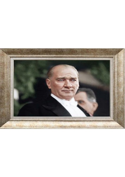 Gümüş Çerçeveli Paspartulu Tablo RS1938