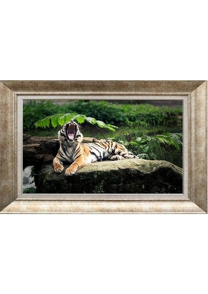 Gümüş Çerçeveli Paspartulu Tablo RS2541