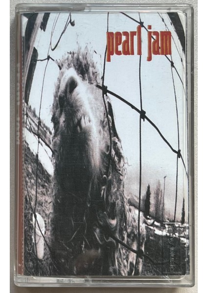 Pearl Jam vs Kaset