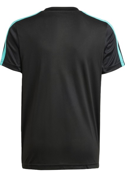 Performance JV5423 MERCEDES - AMG PETRONAS FORMULA ONE TEAM DNA TEE