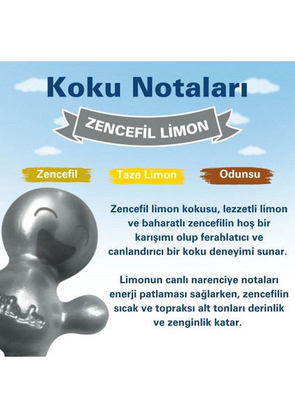 Zencefil Limon Araç Kokusu (Ginger) -45 Gün -Oto Kokusu Kalıcı Klima Parfüm modelleri