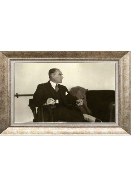 Gümüş Çerçeveli Paspartulu Tablo RS1843