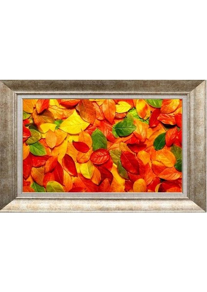 Gümüş Çerçeveli Paspartulu Tablo RS346