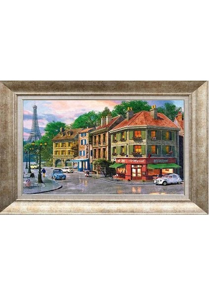 Gümüş Çerçeveli Paspartulu Tablo RS837