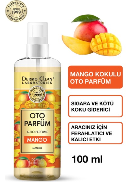 Doğal Meyve Özlü Mango Kokulu Oto Parfüm 100 ml