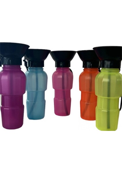 Evcil Hayvan Seyahat Suluğu