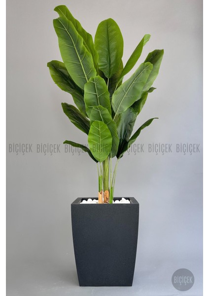 Yapay Muz Ağacı 200 cm Lu x Dış Mekan Saksıda