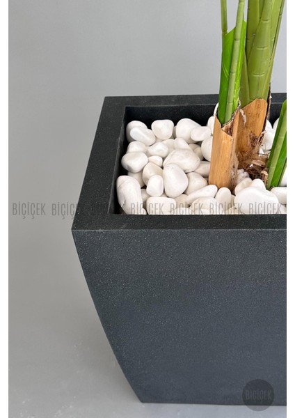 Yapay Muz Ağacı 200 cm Lu x Dış Mekan Saksıda fiyatları