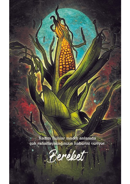 Şaman Defterleri Bereket - Gökhan İnce