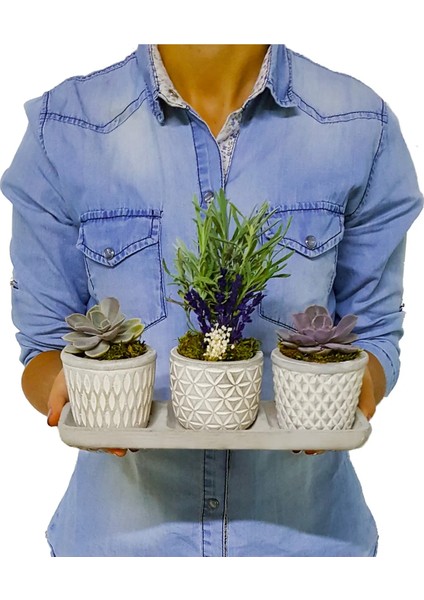3'lü Trio Lavanta ve Sukulent Flora Set & Beton Saksı Canlı Çiçek Hediye