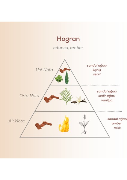 Hogran Edp Erkek Parfüm 50ML | Odunsu ve Amber | Sedir Ağacı, Kişniş, Servi, Vanilya, Amber, Misk