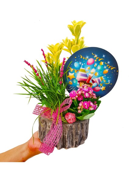 Doğum Günü Çiçeği Elegant Happy Birthday Tasarımı & Taflan Kalanchoe Aranjman Hediye Çiçek fiyatları
