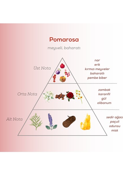 Pomarosa Edp Kadın Parfüm 50ML | Meyveli ve Baharatlı | Nar, Erik, Pembe Biber, Zambak, Sedir, Misk