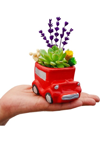 Mini Araba Sukulent ve Lavanta Masaüstü Çiçeği fiyatları