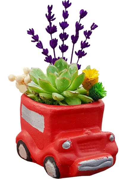Mini Araba Sukulent ve Lavanta Masaüstü Çiçeği modelleri