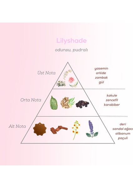 Lilyshade Edp Kadın Parfüm 50ML | Odunsu ve Pudralı | Yasemin, Orkide, Zambak, Gül, Kakule, Zencefil