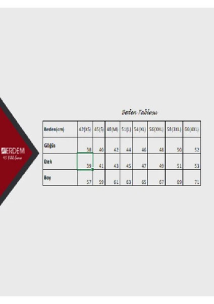 Iç Giyim Erdem V-Yaka T-Shirt Atlet fiyatları