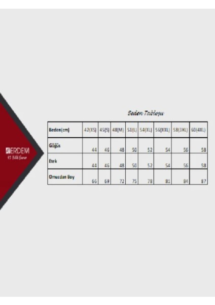 Iç Giyim Erdem Gold Modal V Yaka T-Shirt fiyatları