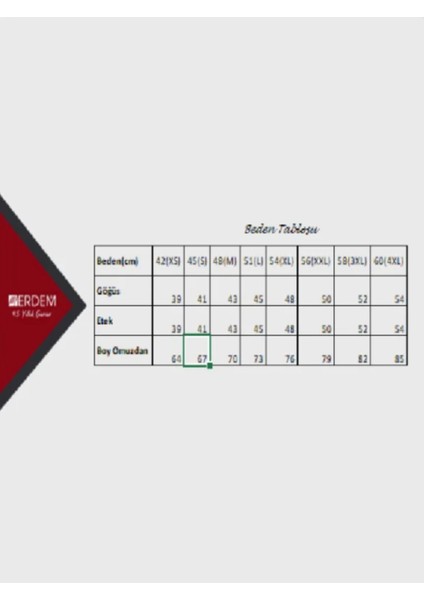 Iç Giyim Erdem Pamuk Ribana Kolsuz V Yaka Atlet (3 Adet) fiyatları