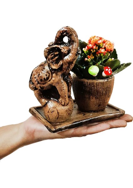 Kalanchoe Vintage Beton Fil Saksıda Iç Mekan Bitkileri Bereket Simgesi Hediye Çiçek