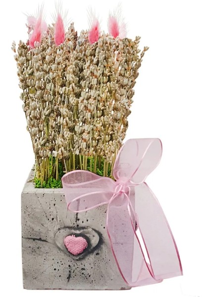 Naturel Lavanta Kuru Çiçek Tasarımı Pembe Kalpli Beton Saksıda & Yapay Cicek Saksi fiyatları