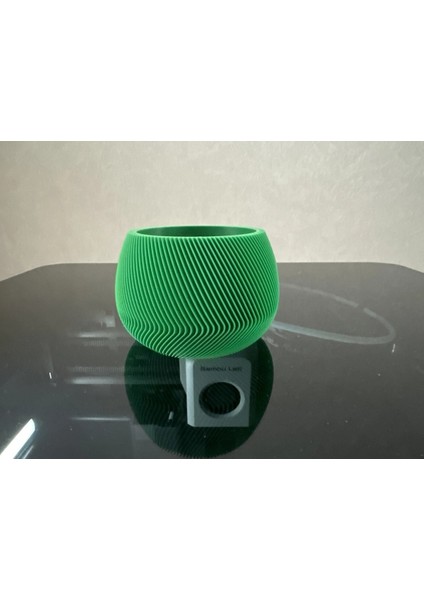 Bitki Vazo modelleri