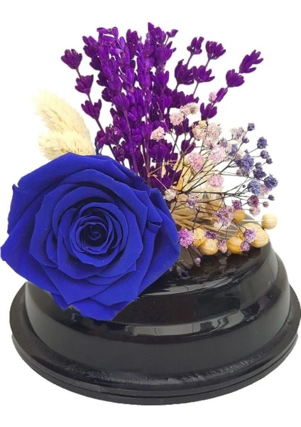 Mavi Solmayan Gül (Xl) ve Lavanta Özel Pleksi Balon Kutuda & Sevgiliye Hediye Home
