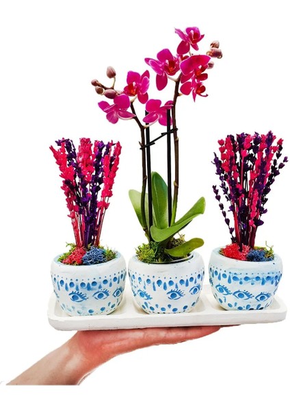Bodrum Serisi Mini Mor Orkide ve Kurutulmuş Pembe Mor Lavanta 3'lü Trio Set & 20-25 cm modelleri