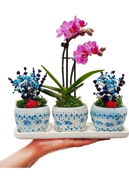 Bodrum Serisi Mini Mor Orkide Şoklanmış Cipso ve Kurutulmuş Lavanta 3'lü Set Canli Çiçek