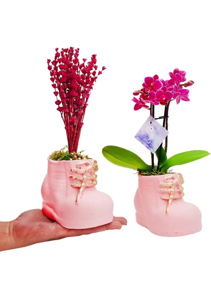Pembe Patikler Beton Saksıda Mini Mor Orkide ve Lavanta Tasarımı Kız Bebek Hediyesi 15-20 cm