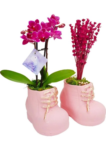 Pembe Patikler Beton Saksıda Mini Mor Orkide ve Lavanta Tasarımı Kız Bebek Hediyesi 15-20 cm fiyatları