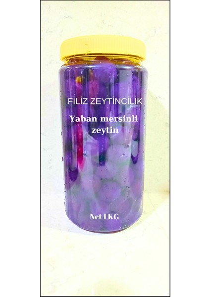 Yaban Mersinli Zeytin